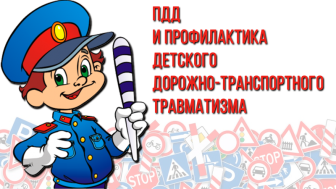 Профилактика детского дорожно - транспортного травматизма.